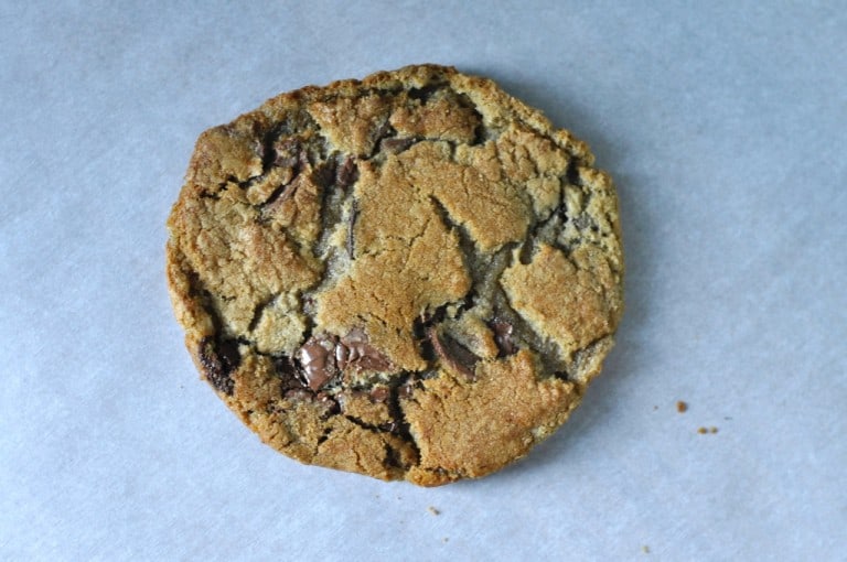 Servicio de comida para perros ciegos - Galletas con chispas de chocolate - 8/12 unidades